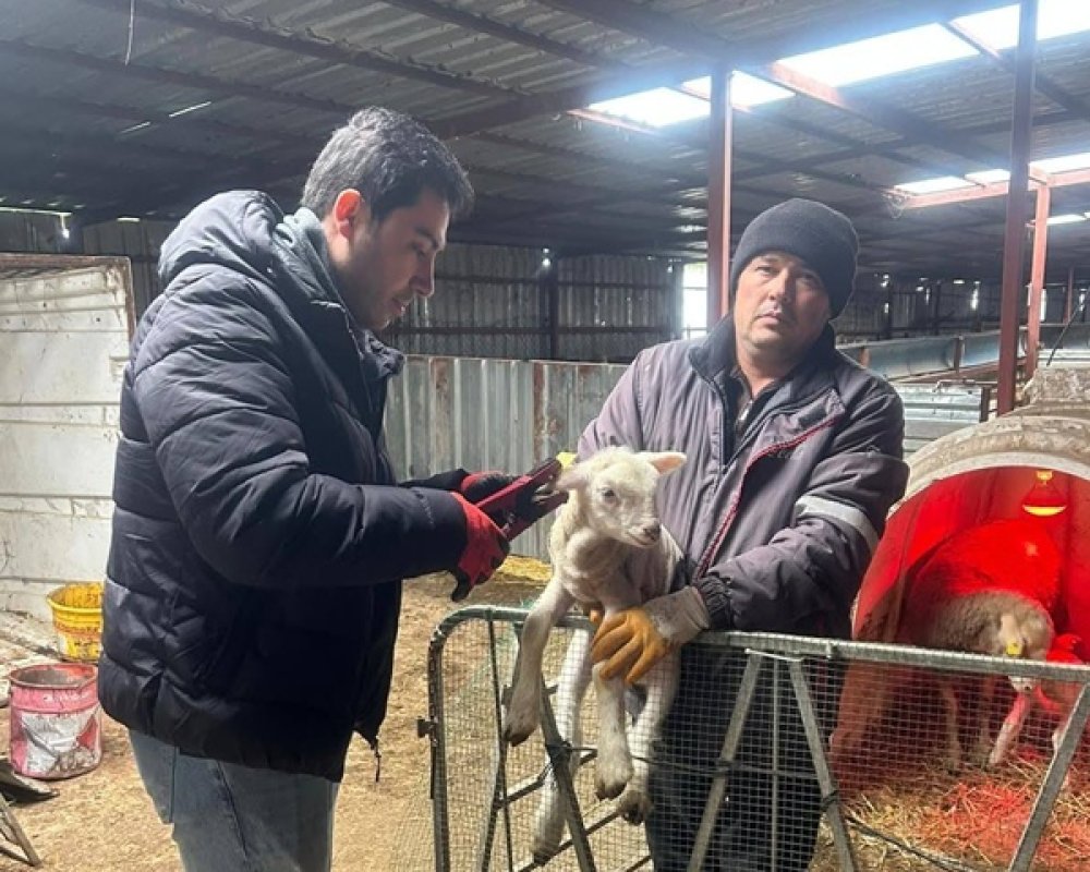 Silivri’de Küpeleme Çalışmaları Büyükçavuşlu ve Beyciler’den Başladı